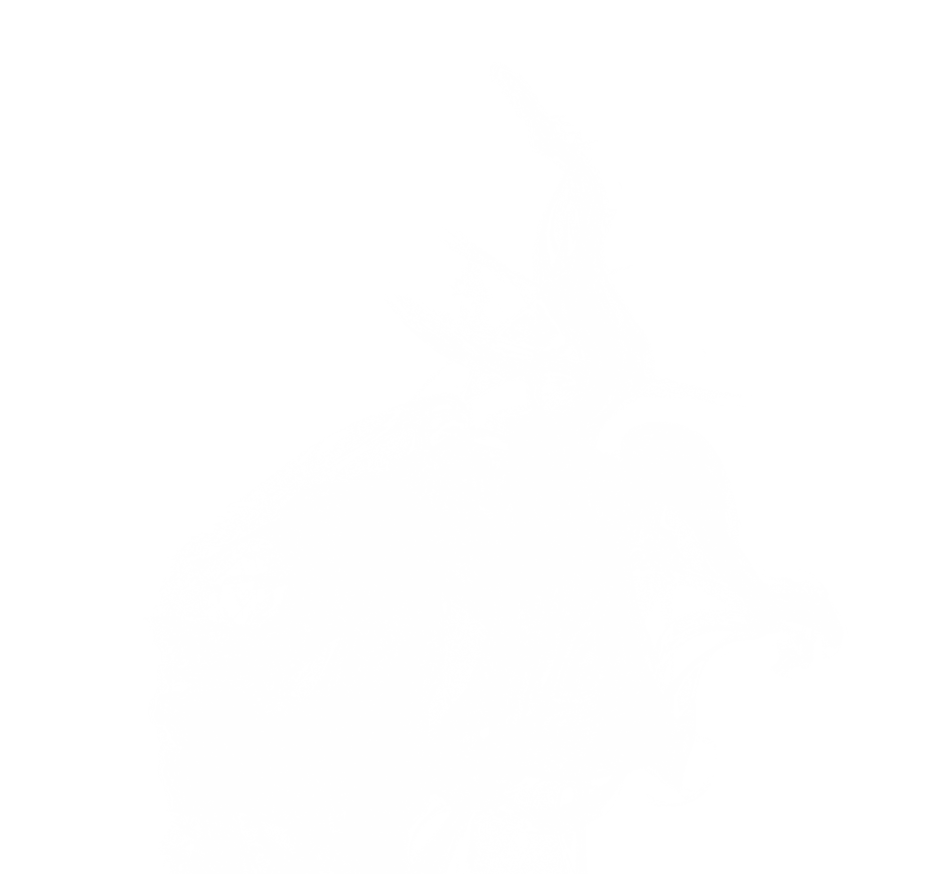 Smoke